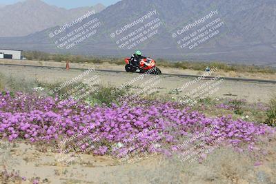 media/Feb-04-2023-SoCal Trackdays (Sat) [[8a776bf2c3]]/Turn 15 Inside Blooming (1050am)/